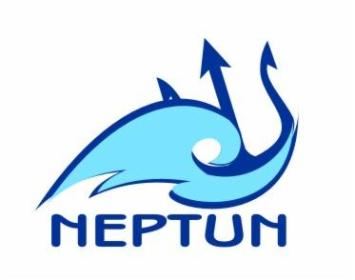 Przedsiębiorstwo Inżynieryjne Neptun Tomasz Arendt - Montaż Instalacji Gazowych Kiełpino