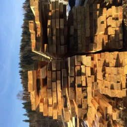 Stosy świeżo pociętego drewna budowlanego ułożone na placu, widoczne oznaczenia na końcach belek, w tle las iglasty i błękitne niebo.