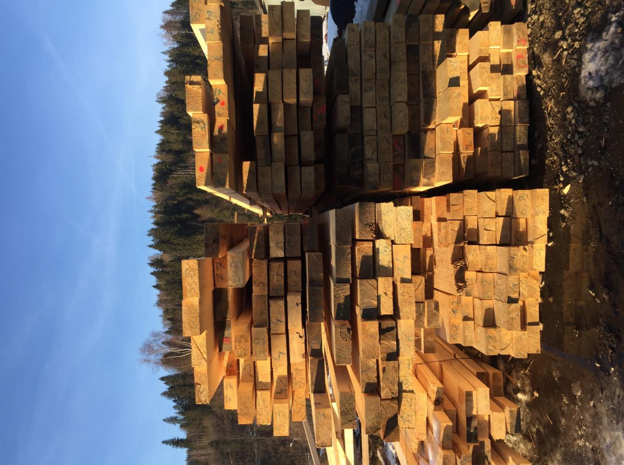 Stosy świeżo pociętego drewna budowlanego ułożone na placu, widoczne oznaczenia na końcach belek, w tle las iglasty i błękitne niebo.