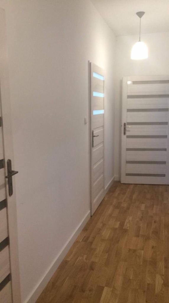 Korytarz z trzema zamontowanymi białymi drzwiami z poziomymi przeszkleniami i podłogą z paneli imitujących drewno, oświetlony wiszącą lampą.