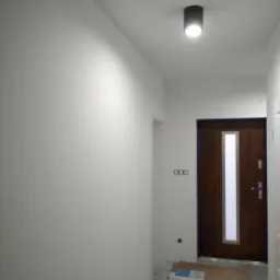 Świeżo pomalowany przedpokój z białymi ścianami i sufitem, oświetlony pojedynczą, cylindryczną lampą sufitową. Na podłodze karton ochronny i arkusz informacyjny. Widoczna drewniana drzwi wejściowe...