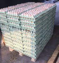 Stos palet z wytłaczankami wypełnionymi jajami, widoczne niedoskonałości opakowań i naturalna kolorystyka jaj.