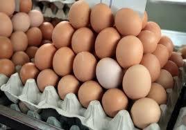 Brązowe i jedno białe jajko w wytłaczankach, ułożone w piramidę, widoczne w tle kolejne rzędy jaj.