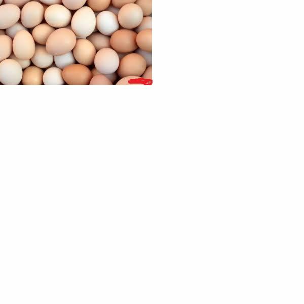 Stos brązowych i białych jaj kurzych ułożonych blisko siebie, wypełniających część kadru.