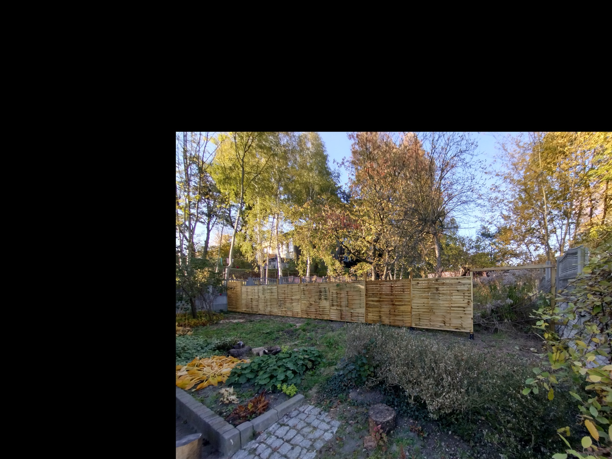 Nowoczesne ogrodzenie panelowe z jasnego drewna w ogrodzie, widoczne drzewa w tle, jesienne liście na trawniku.