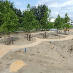 Parkowa ścieżka z jasnego żwiru, obrzeża z kostki, młode drzewa z zabezpieczeniami, teren przygotowany pod nasadzenia. Słoneczny dzień.