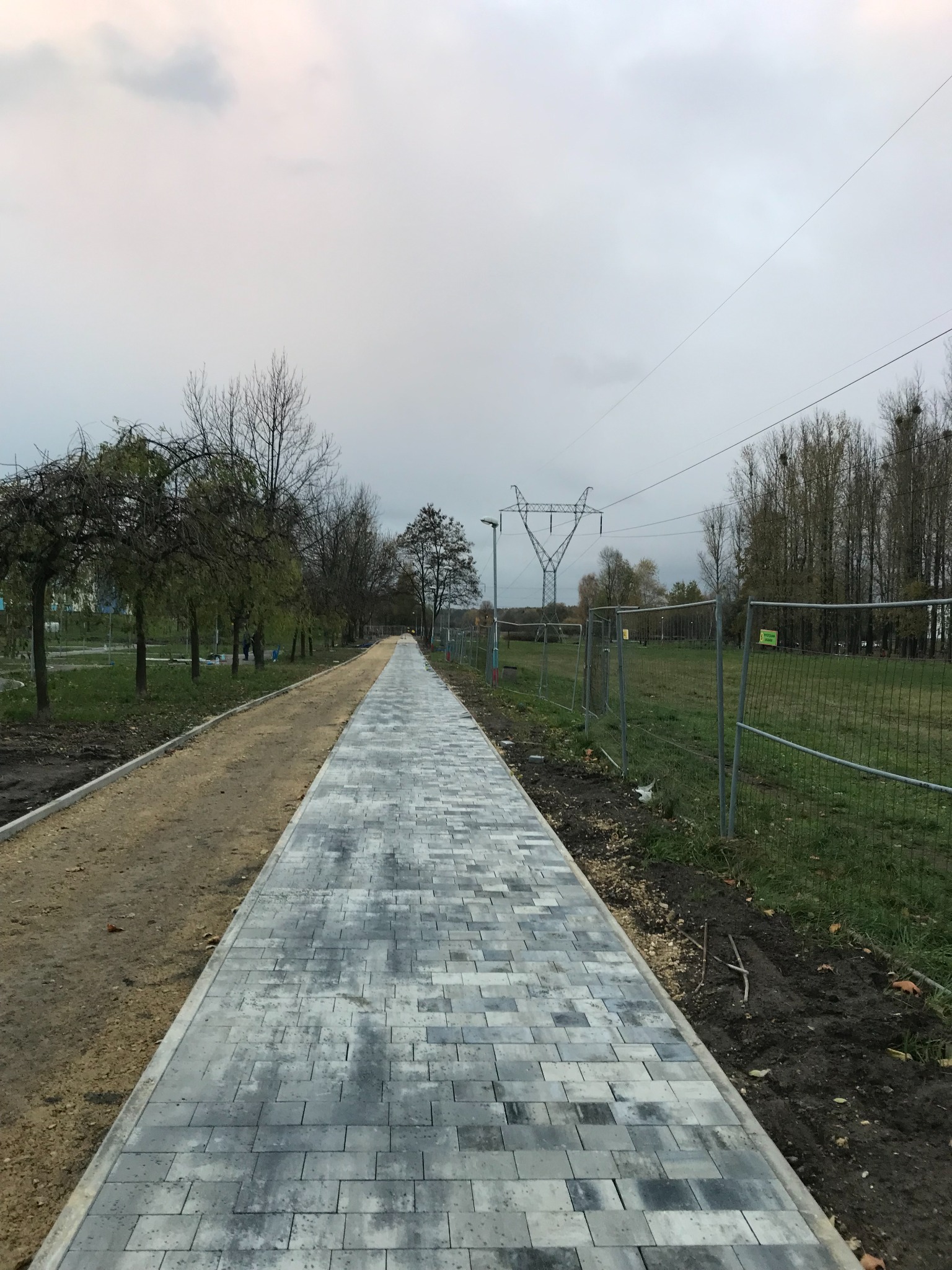 Ścieżka z szarej kostki brukowej w parku, w perspektywie zbieżnej. Po lewej stronie ścieżka gruntowa, w tle słup wysokiego napięcia i drzewa bez liści.