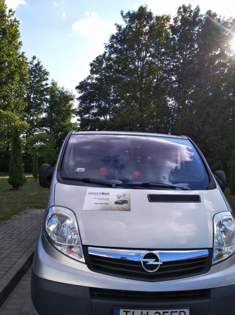 Srebrny Opel Vivaro z naklejką reklamową firmy Ganderbus na masce, zaparkowany na tle zielonych drzew i błękitnego nieba.