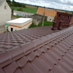 Brązowe pokrycie dachowe z blachy trapezowej, widoczne kominy wentylacyjne i ceglany komin na tle wiejskich zabudowań i pochmurnego nieba.