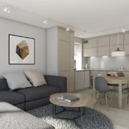 Salon z aneksem kuchennym w neutralnych barwach; szary narożnik z poduszkami, okrągły stolik kawowy, dywan shaggy, na ścianie geometryczne obrazy w czarnych ramach, jasna zabudowa kuchenna...