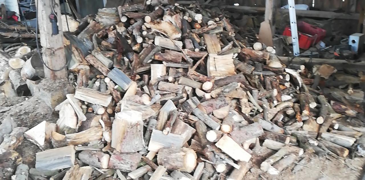 Stos pociętego drewna ułożony w zadaszonej przestrzeni, widoczne klocki różnej wielkości, niektóre z korą, w tle regał z narzędziami i urządzeniami.