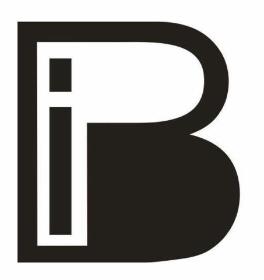 BIP Przedsiębiorstwo Wielobranżowe - Sprawozdania Finansowe Łódź