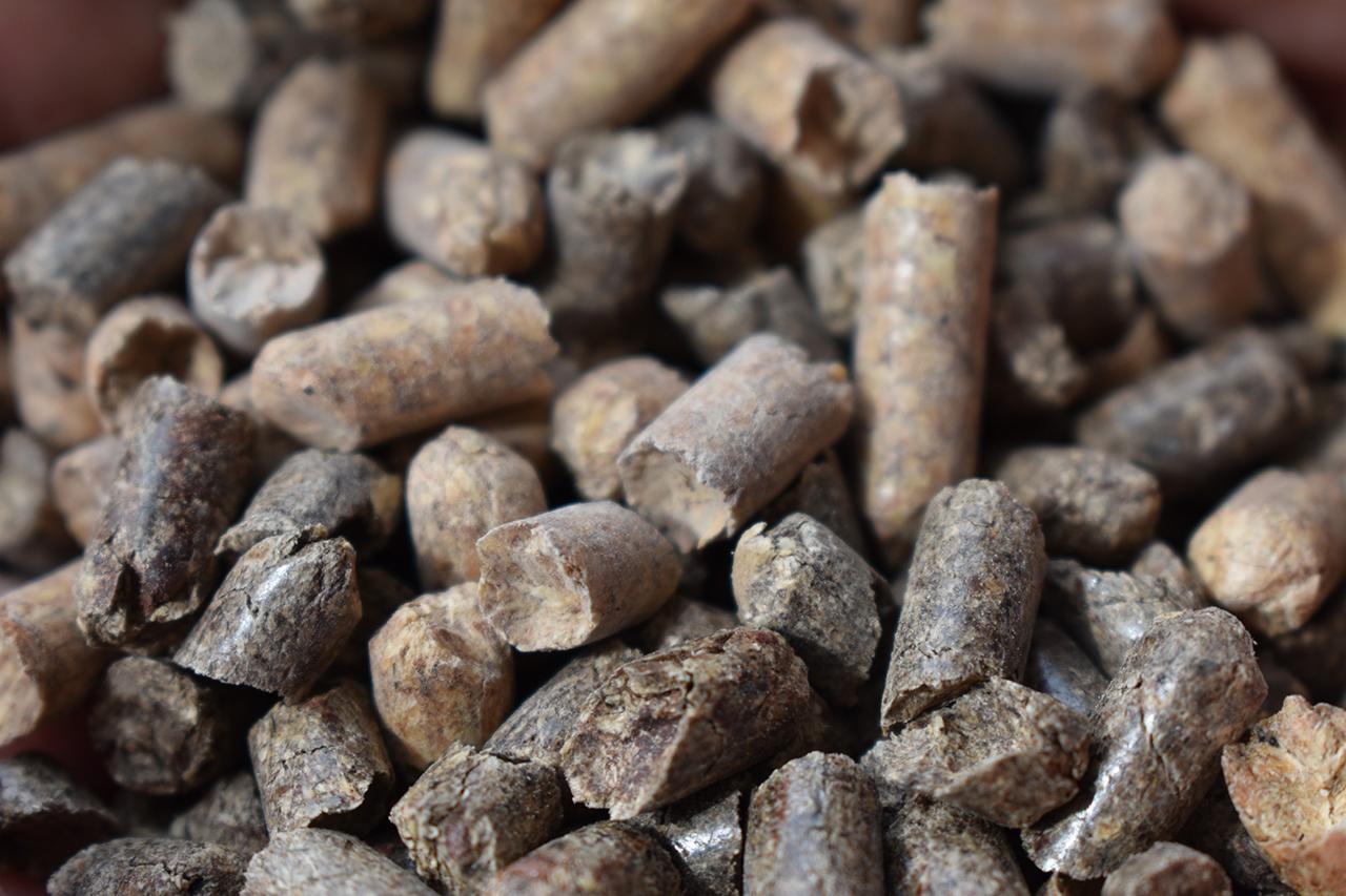 Zbliżenie na brązowe granulki pelletu drzewnego, niektóre z widocznymi pęknięciami, ułożone w nieuporządkowany stos.