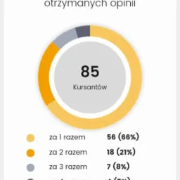 Wykres kołowy przedstawiający statystyki zdawalności kursantów, z dominującym kolorem złotym symbolizującym wysoki procent zdawalności za pierwszym razem (66%).