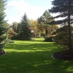 Widok na zadbany trawnik z równo przystrzyżoną trawą, obramowany ozdobnymi rabatami z korą i obrzeżami, otoczony różnorodnymi drzewami iglastymi i liściastymi.