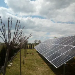 Instalacja paneli fotowoltaicznych na trawniku, widoczne drzewka z młodymi pąkami i błękitne niebo z chmurami.