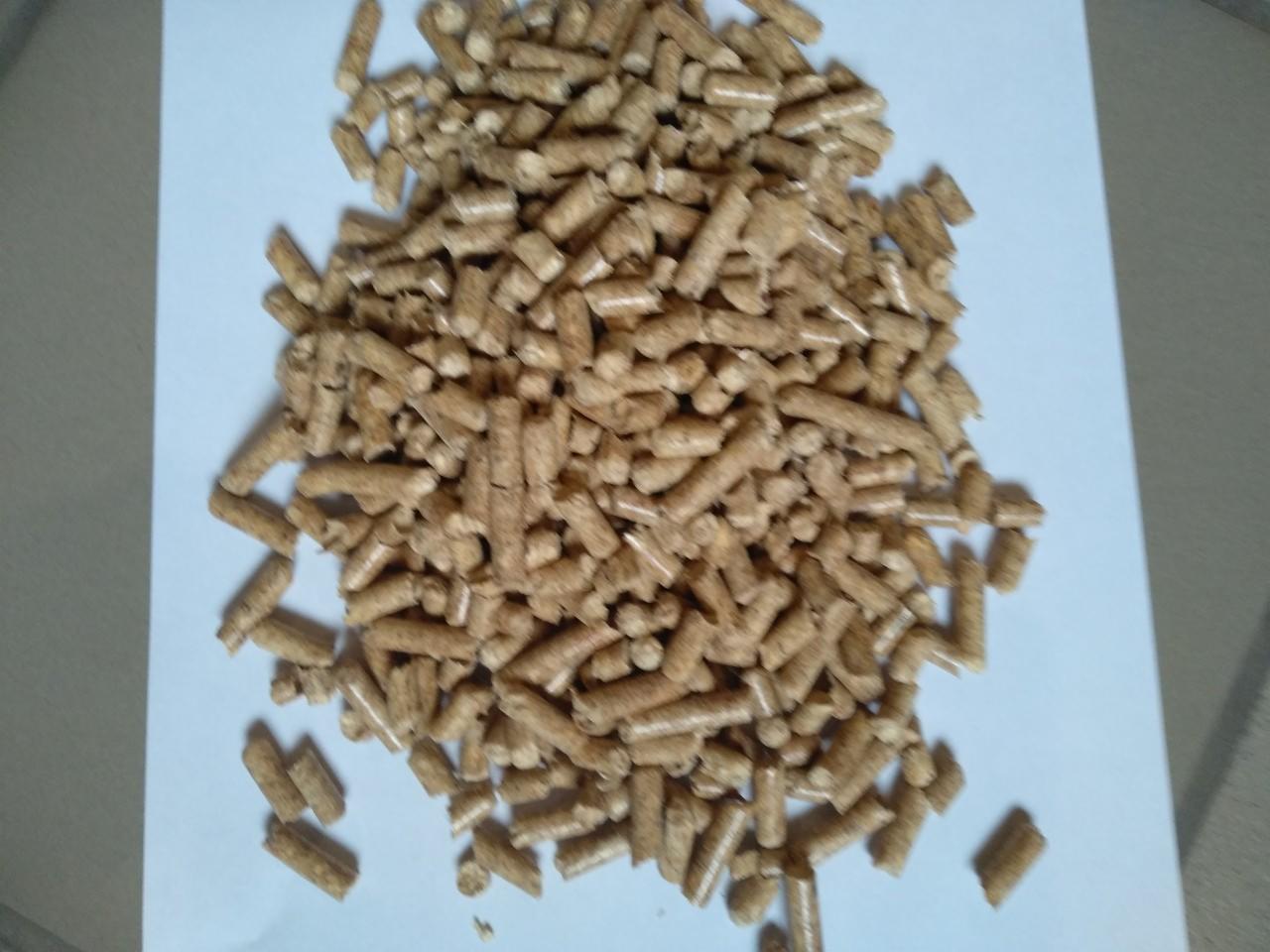 Jasne, drewniane pellety ułożone na białym tle, widoczne lekkie cienie, ukazujące strukturę i kształt poszczególnych granulek.