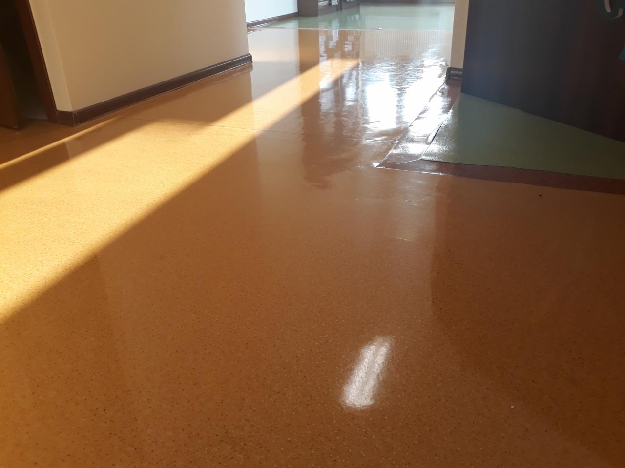 Błyszcząca, świeżo umyta podłoga w biurze, z widocznymi promieniami słonecznymi padającymi na powierzchnię, odbijającymi się od czystej posadzki.