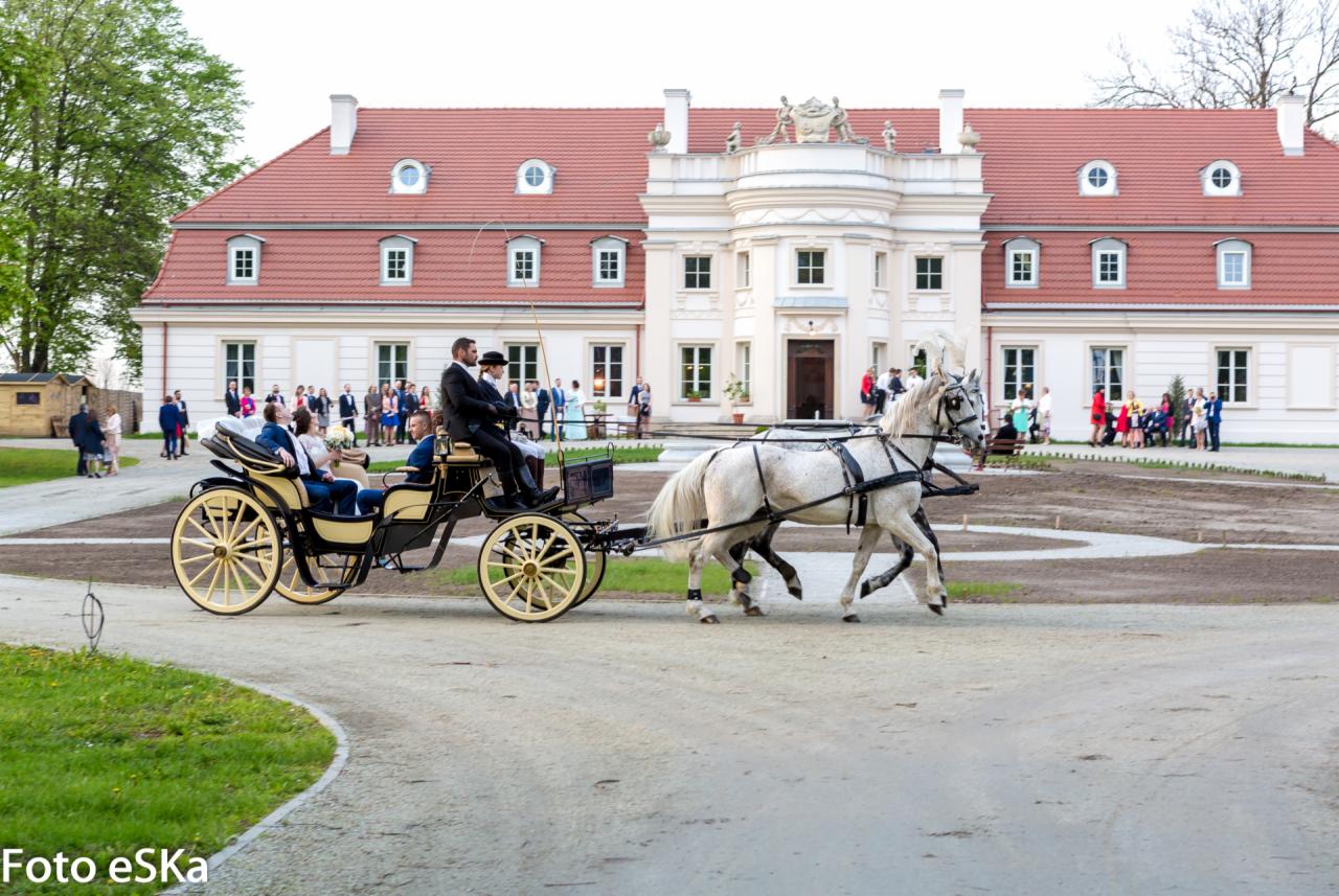 Para młoda w karocy zaprzężonej w dwa białe konie, na tle klasycystycznego pałacu z czerwonym dachem i zgromadzonymi gośćmi.