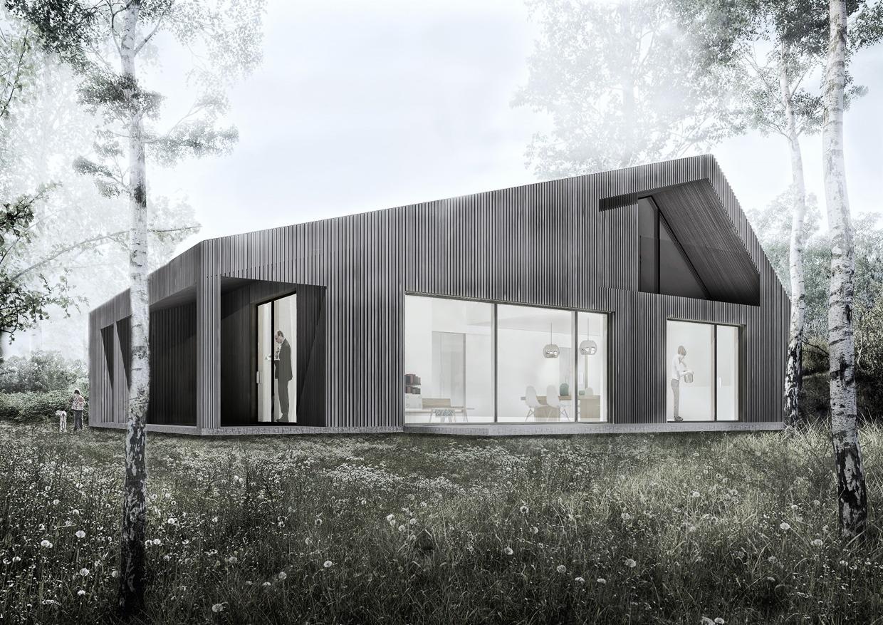 Wizualizacja nowoczesnego, grafitowego domu z pionowymi panelami elewacyjnymi, dużymi przeszkleniami i osobami wewnątrz, otoczonego łąką i drzewami.