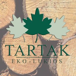 TARTAK EKO-LUKIOS - Drewno Konstrukcyjne Gniezno