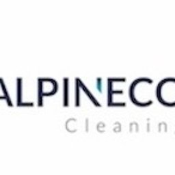 Alpineco Cleaning Sp. z o.o. - Fantastyczne Czyszczenie Dachu Gliwice