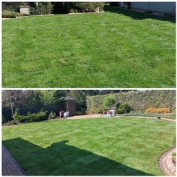 Lewandowski Błażej Green Line - Widok na zadbany trawnik z regularnymi pasami po koszeniu, otoczony różnorodną roślinnością ozdobną i elementami architektury ogrodowej, takimi jak drewniana altanka i rabaty kwiatowe.