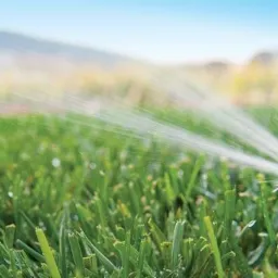 Niski kąt ujęcia na pracujący zraszacz rotacyjny nawadniający trawnik, w tle zamazane wzgórza i niebo.