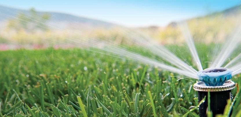 Niski kąt ujęcia na pracujący zraszacz rotacyjny nawadniający trawnik, w tle zamazane wzgórza i niebo.