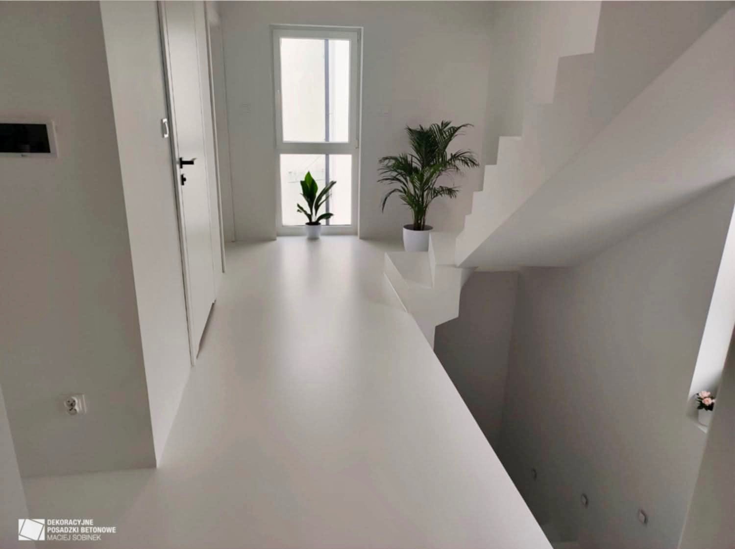 Białe, minimalistyczne wnętrze: gładka posadzka, schody, dwie rośliny doniczkowe przy oknie. Nowoczesny design, jasne oświetlenie, czyste linie.