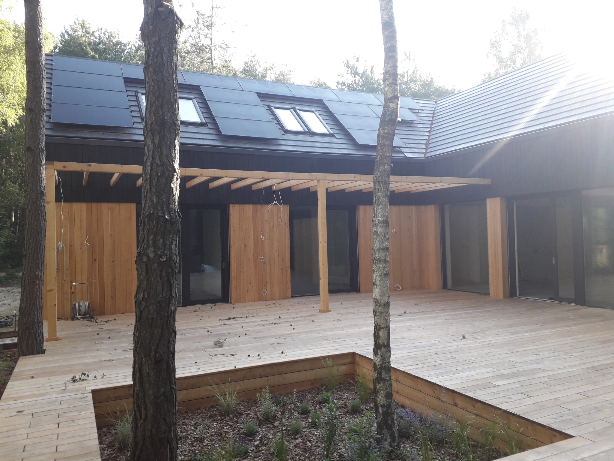 Nowoczesny dom z drewnianą elewacją, panelami słonecznymi na dachu i przestronnym tarasem, widok przez pnie drzew