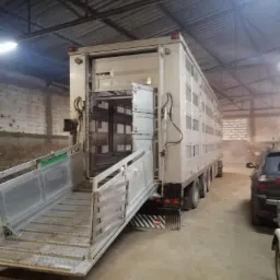 Wnętrze warsztatu: Przyczepa do transportu zwierząt z otwartą rampą załadowczą.