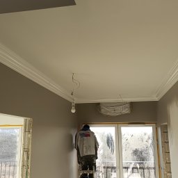 SNA BUD - Malarz na drabinie maluje ścianę w pokoju z ozdobną listwą sufitową. Widoczne okno balkonowe i fragmenty ścian w dwóch odcieniach szarości.