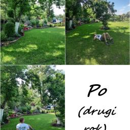 M.S. Vel-BUD Firma Rodzinna - Zadbany trawnik z obrzeżem z cegły i kwitnącymi rabatami, osoba leżąca na trawie w cieniu drzew, widoczny fragment węża ogrodowego.