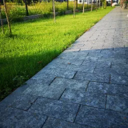 Ułożona ścieżka z szarej kostki betonowej prowadząca wzdłuż trawnika z młodymi drzewkami, ogrodzona siatką.