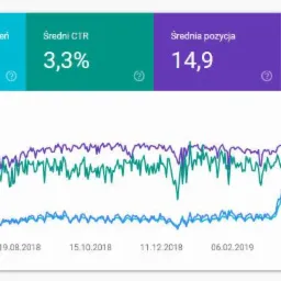 Wyniki pozycjonowania sklepu