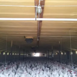 Termomodernizacja budynku inwentarskiego pianką pur