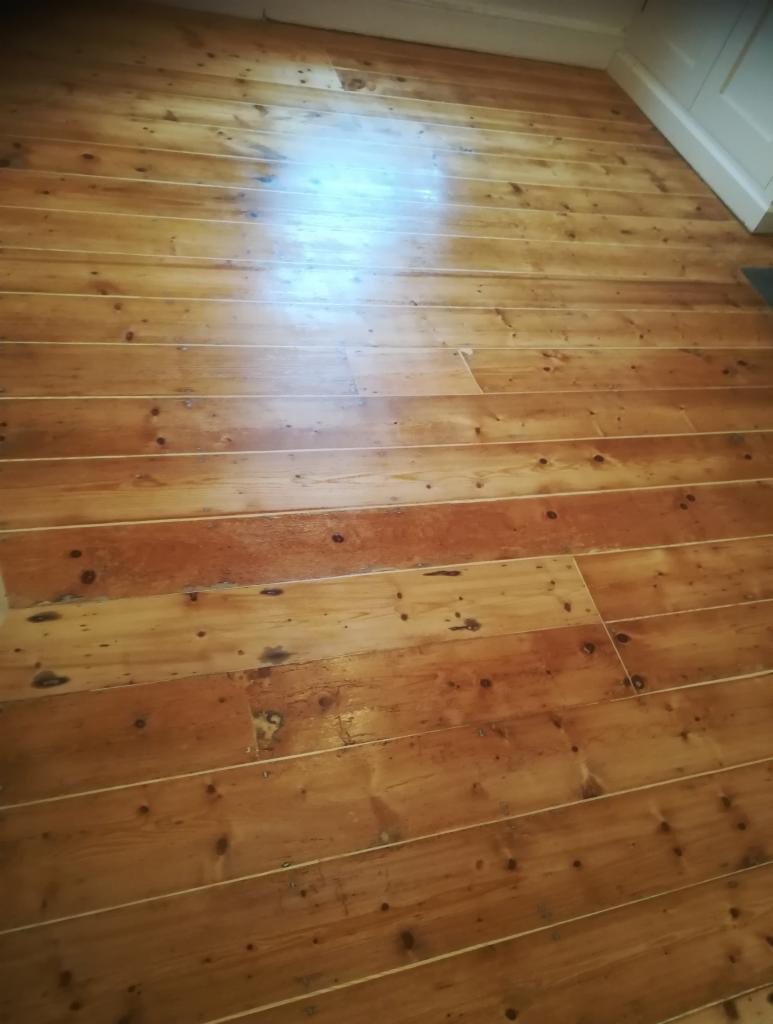 Naturalna, lakierowana podłoga z desek sosnowych z widocznymi sękami i usłojeniami, ułożona równolegle do ściany, z delikatnym odblaskiem światła. Widoczna listwa przypodłogowa w rogu.