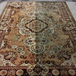 CSF Polska - Duży, brązowo-beżowy dywan z kwiatowym wzorem, widoczne dwa białe pojemniki i sprzęt do czyszczenia dywanów w tle.