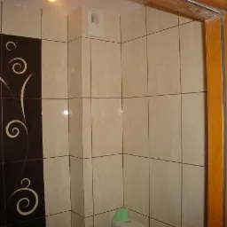 Wykończona łazienka z beżowymi płytkami i dekoracyjną czarną ścianą z motywem roślinnym, widoczny fragment toalety z zielonym papierem toaletowym.