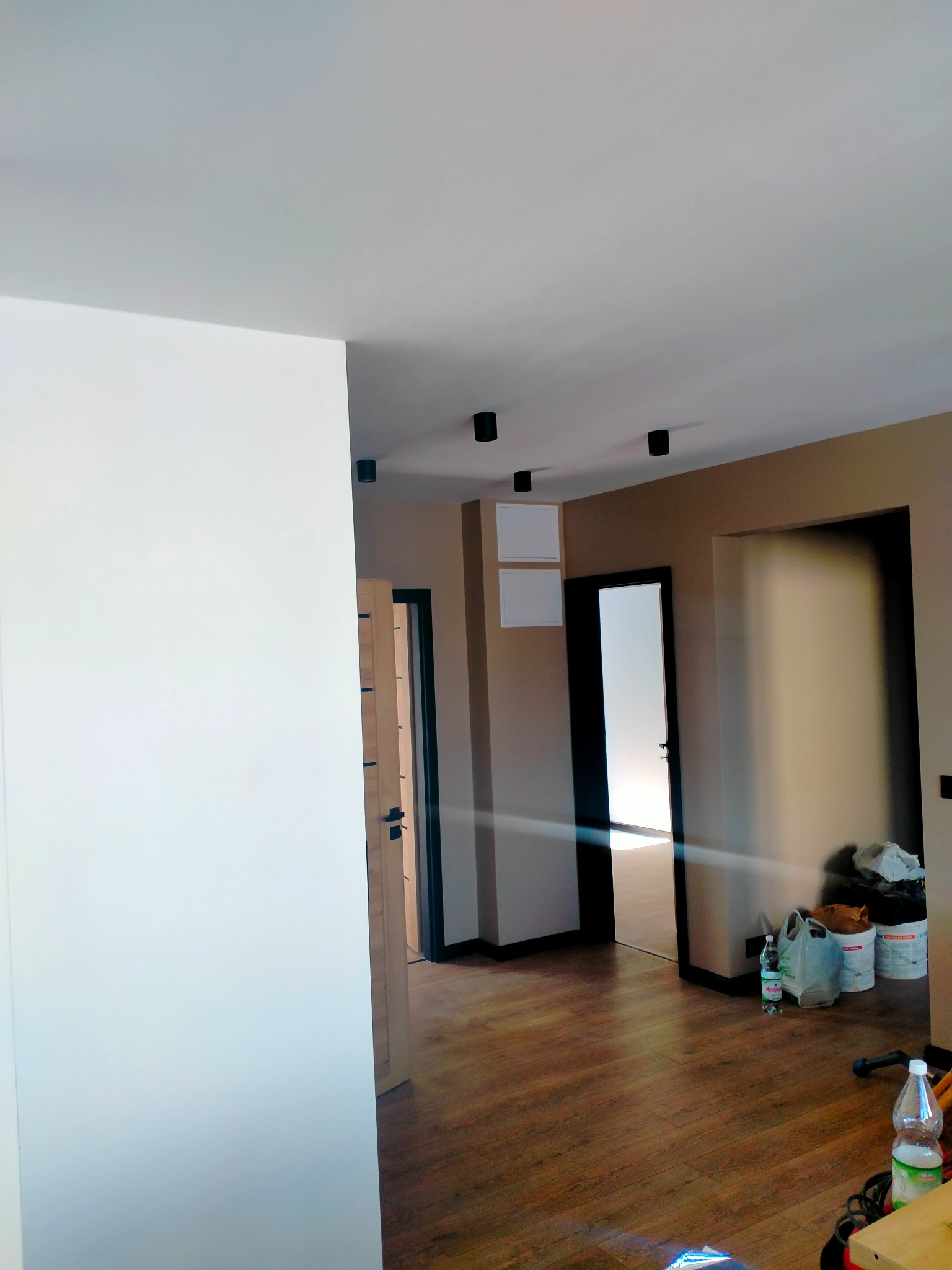 Wnętrze mieszkania w trakcie odświeżania: biała ściana po lewej, brązowe ściany w głębi z czarnymi oprawami oświetleniowymi, drewnopodobna podłoga, widoczne puszki z farbą i butelki wody mineralnej.