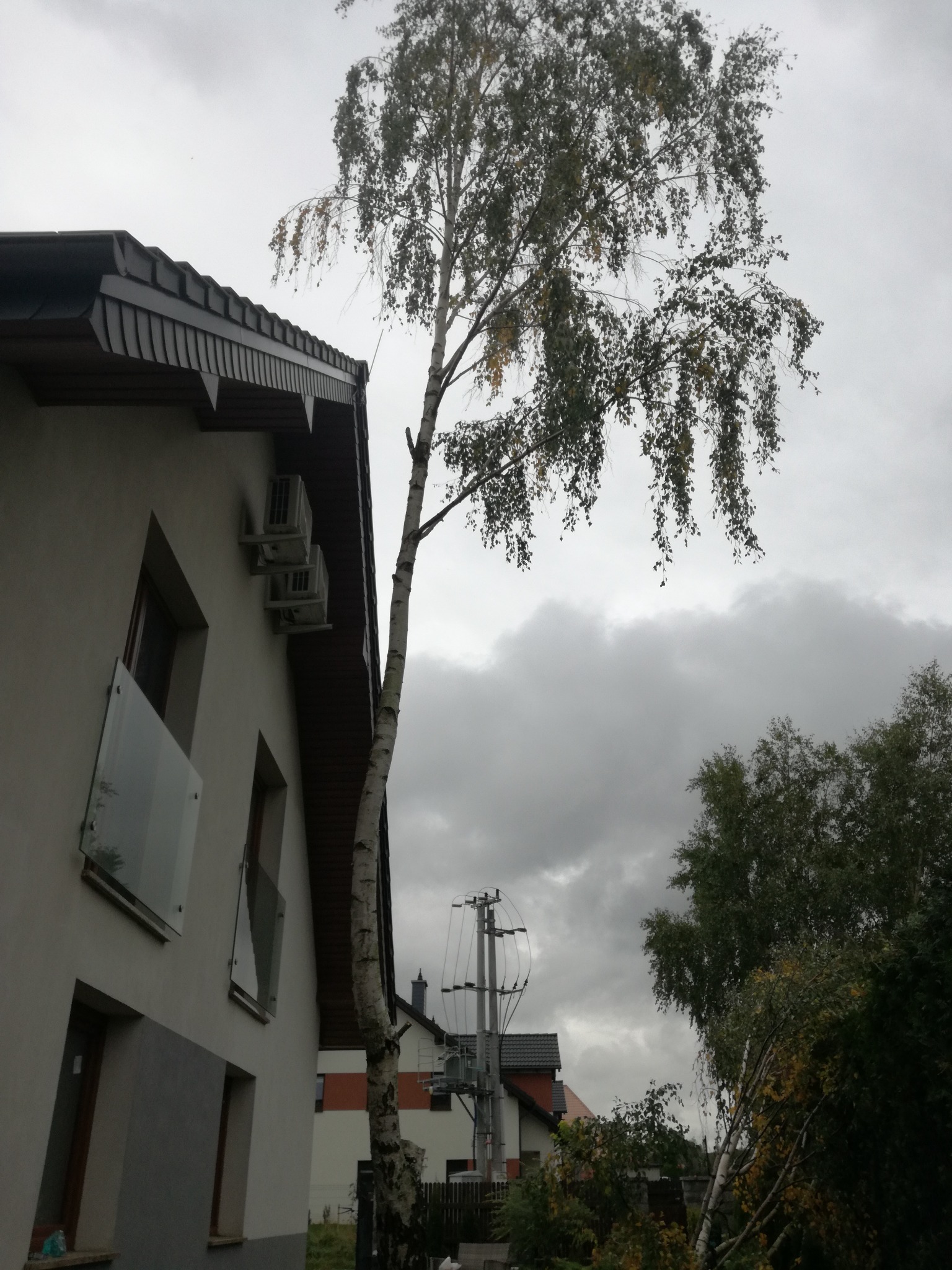 Smukła brzoza rosnąca tuż przy ścianie domu z klimatyzacją, pochmurne niebo w tle.