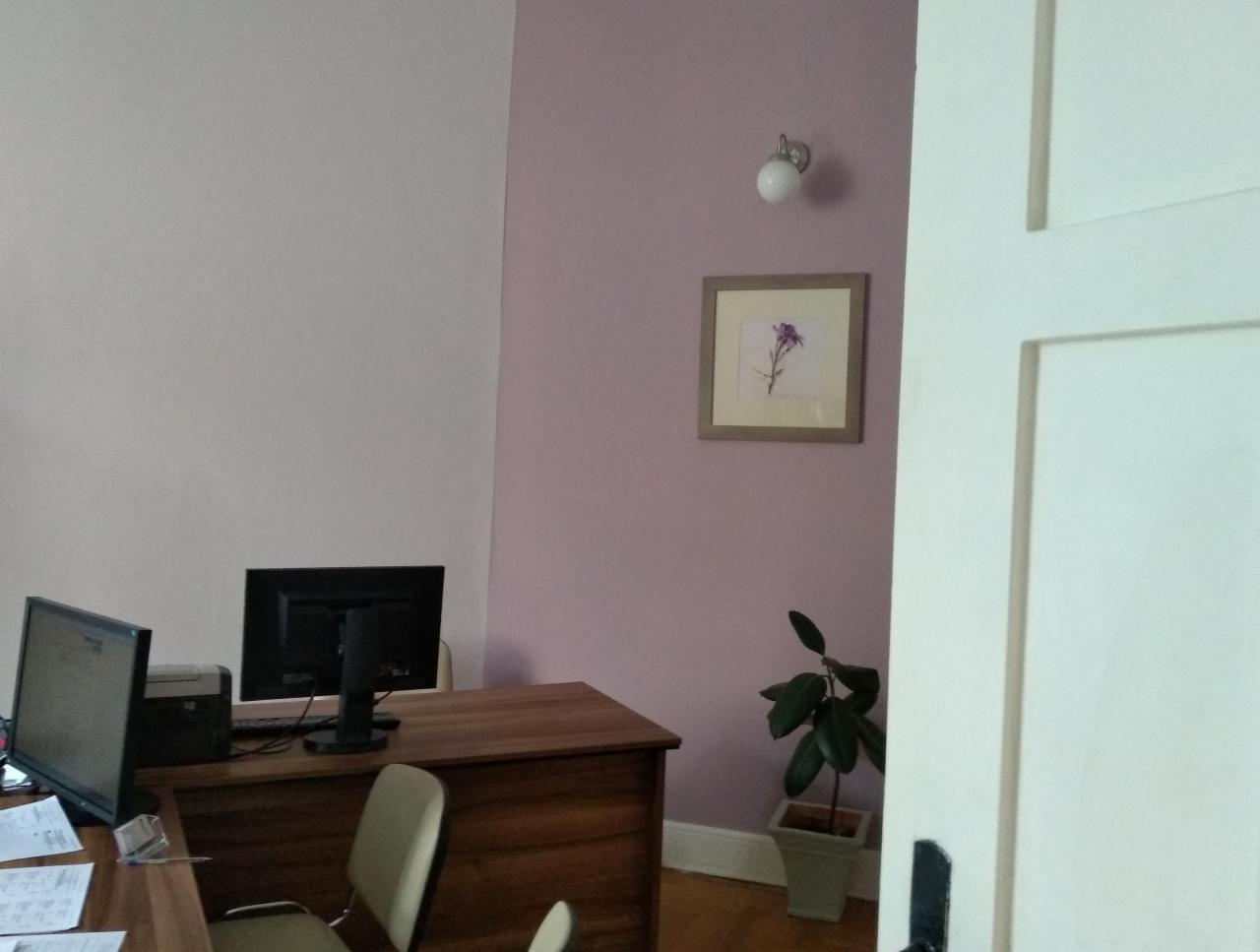 Biuro z dwoma monitorami, drewnianym biurkiem, krzesłem, lampą ścienną, obrazkiem z kwiatem i rośliną doniczkową przy drzwiach.