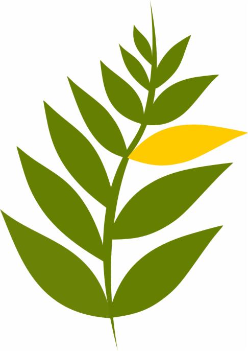 Ilustracja przedstawiająca gałązkę z zielonymi liśćmi i jednym żółtym liściem na białym tle.