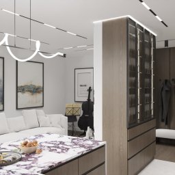 Davinci Studio Marcin Pajewski - Nowoczesne wnętrze z marmurowym blatem kuchennym, salonem z białą sofą, abstrakcyjnymi obrazami, i przedpokojem z szafą i wieszakami.