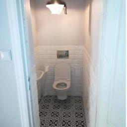 Glazurnik Kobyłka 2