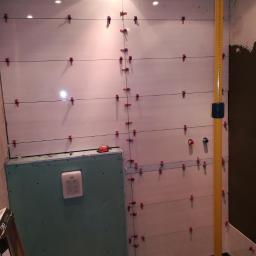 Glazurnik Kobyłka 3