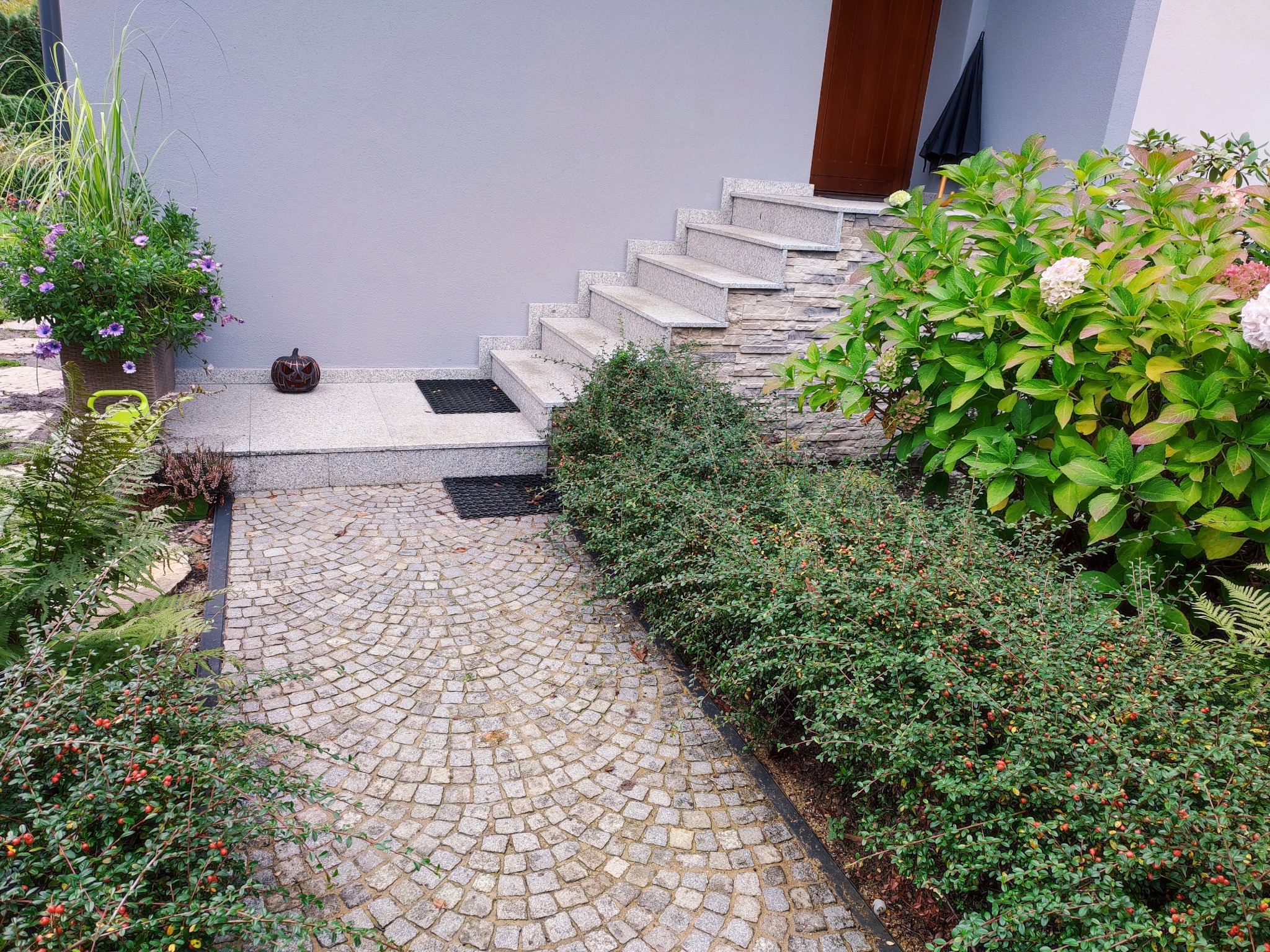 Granitowa kostka brukowa ułożona w wachlarzowy wzór prowadząca do kamiennych schodów wejściowych z obudową z łupka, otoczona zielenią i dekoracyjną dynią.