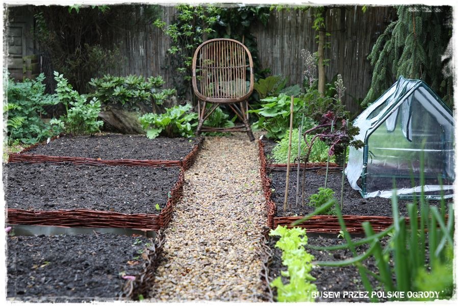 Uporządkowany ogród z grządkami obramowanymi wikliną, żwirową ścieżką prowadzącą do wiklinowego krzesła i małą szklarnią w tle.