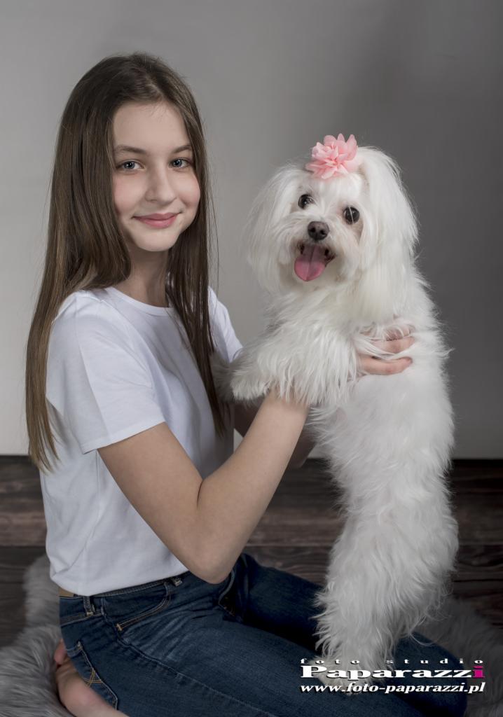 Uśmiechnięta nastolatka w białym t-shircie i jeansach trzyma na rękach białego maltańczyka z różową ozdobą we włosach na tle szarego studia.